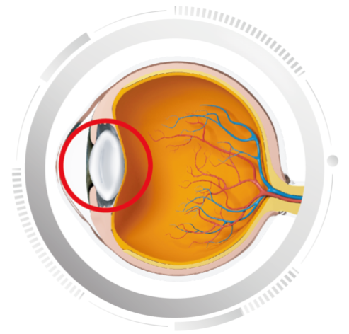 65025f4a2d045.png image.png