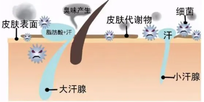 67074158c10a7.png image.png